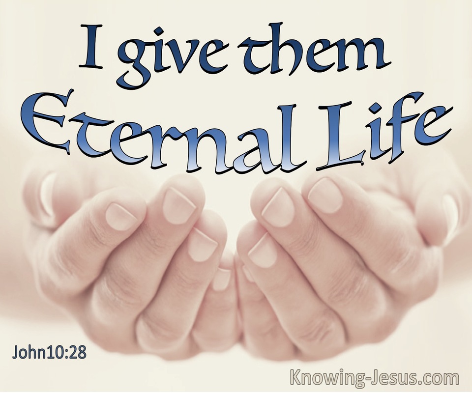 John 10:28  I Give Them Eternal Life (blue)